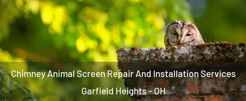  Chimney Animal Screen Repair And Installation Services Garfield Heights - OH