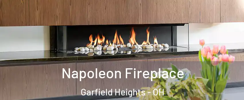  Napoleon Fireplace Garfield Heights - OH